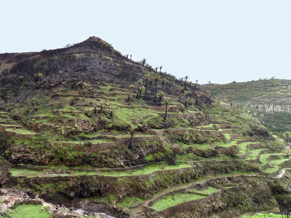 La Gomera — Fotografia de Stock