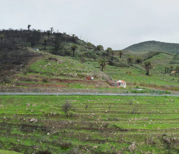 La Gomera Przewodniczący — Zdjęcie stockowe