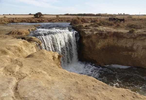 Wadi elrayan καταρράκτες — Φωτογραφία Αρχείου