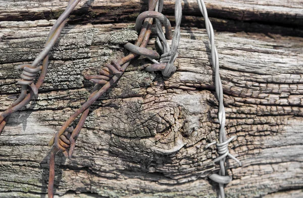 Verfallenes Holz und Stacheldraht — Stockfoto