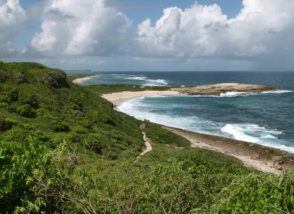 Küstenlandschaft bei Guadeloupe — Stockfoto