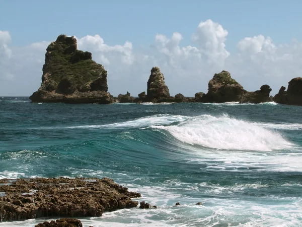 Küstenlandschaft bei Guadeloupe — Stockfoto
