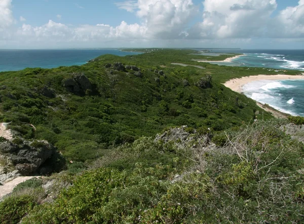 Küstenlandschaft bei Guadeloupe — Stockfoto