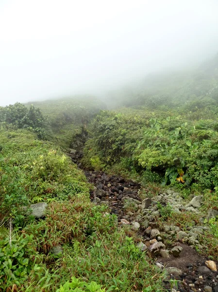 Misty impression of Guadeloupe — Stock Photo, Image