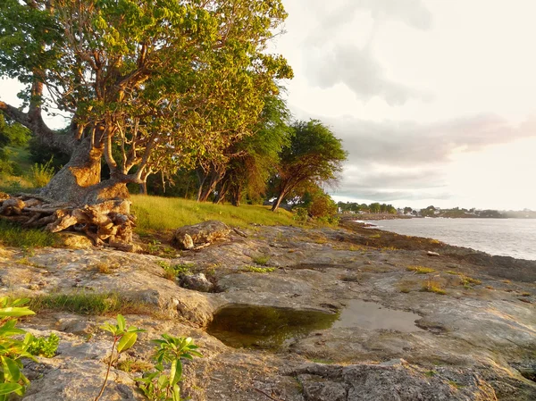 Coastal scenery at Guadeloupe — Stock Photo, Image