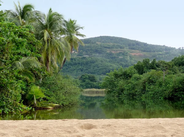 Impression of Guadeloupe — Stock Photo, Image