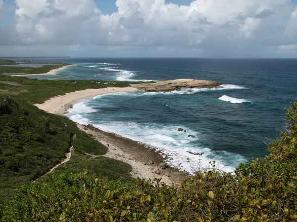 Kustlandskap vid Guadeloupe — Stockfoto