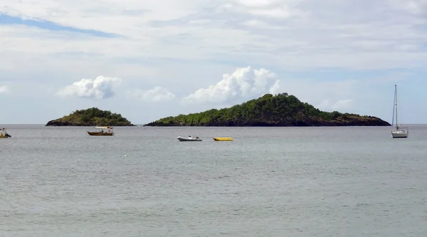 Küstenlandschaft bei Guadeloupe — Stockfoto