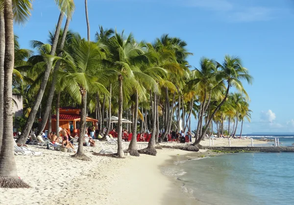 Caribbean beach scenery — Stock Photo, Image