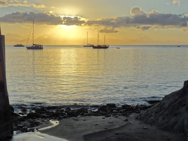 Tengerparti este táj: Guadeloupe — Stock Fotó