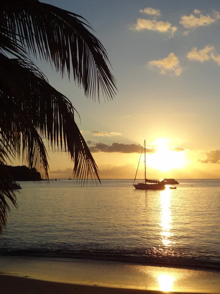 Paysages côtiers en soirée en Guadeloupe — Photo