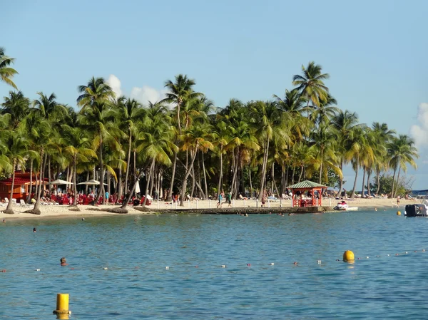 Пейзажі Карибського басейну пляж — стокове фото