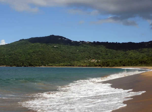 Caribbean beach scenery — Stock Photo, Image