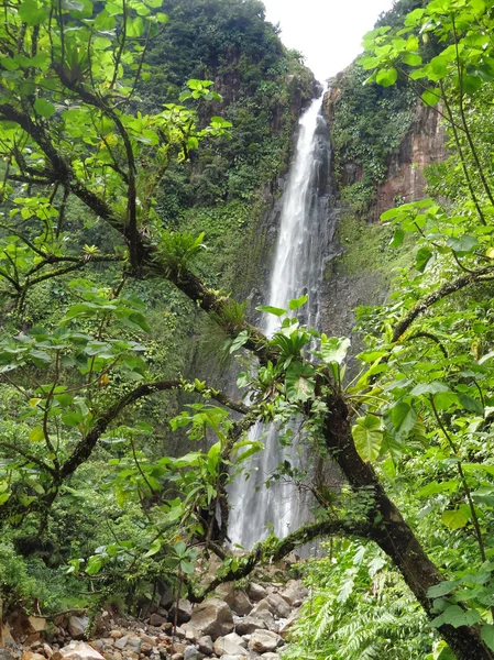 Caribbean waterfall — Stock Photo, Image