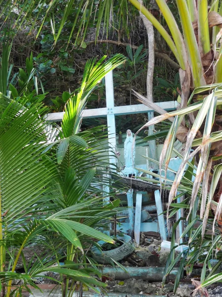 Vreemd jungle landschap — Stockfoto