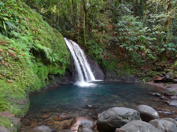 Caribbean waterfall — Stock Photo, Image