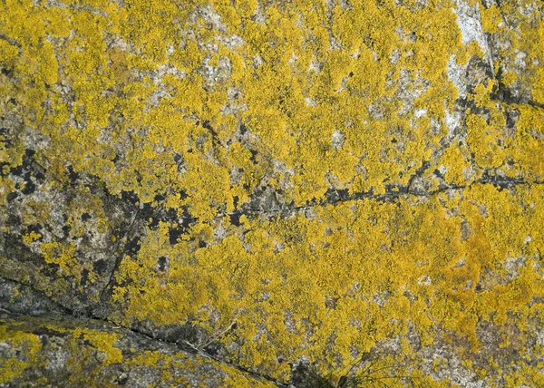 モンサンミシェル修道院近くの岩の形成 — ストック写真