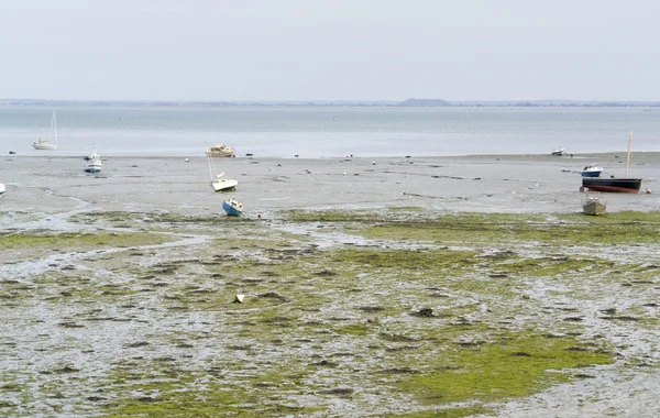 Around Cancale — Stock Photo, Image