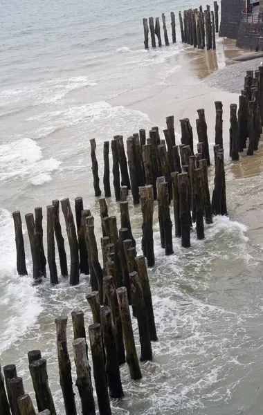 Pali di legno — Foto Stock