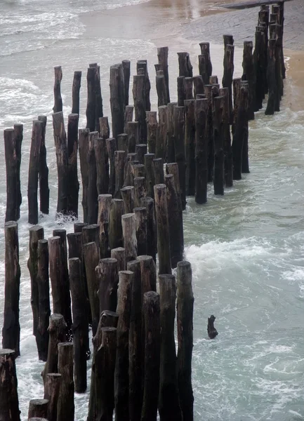 Postes de madera — Foto de Stock