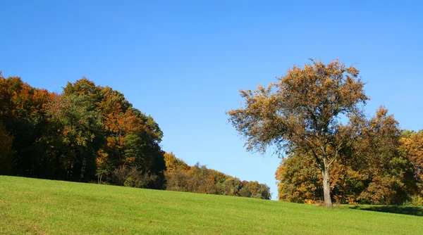 Ländliche Herbstkulisse — Stockfoto