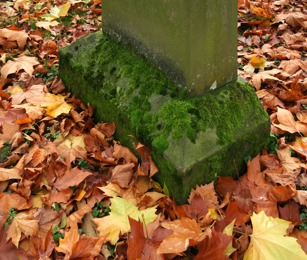 Herfst kerkhof — Stockfoto