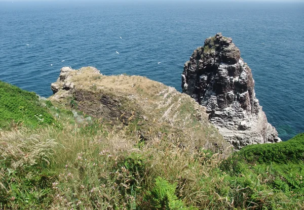 Cap Frehel — Fotografia de Stock