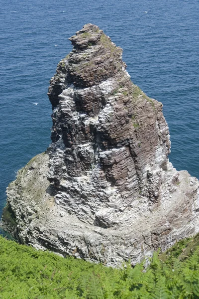 Cap Frehel — Stock Photo, Image