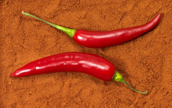 Czerwony gorący chilis — Zdjęcie stockowe