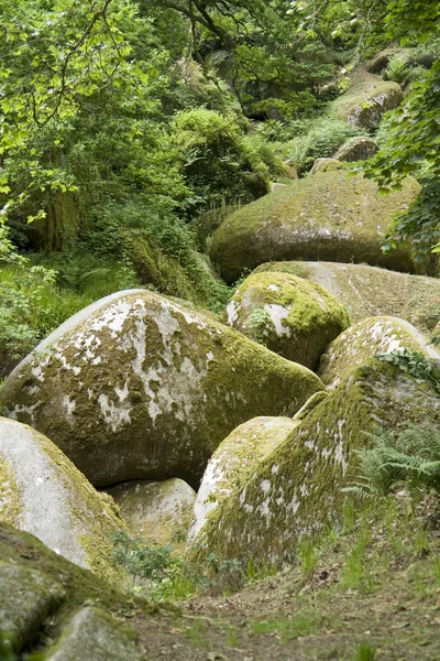 Huelgoat — Stok fotoğraf