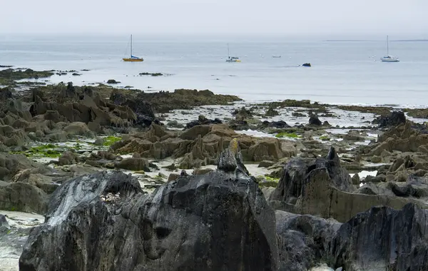 Côte bretonne — Photo