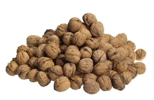 Pile of walnuts — Stock Photo, Image