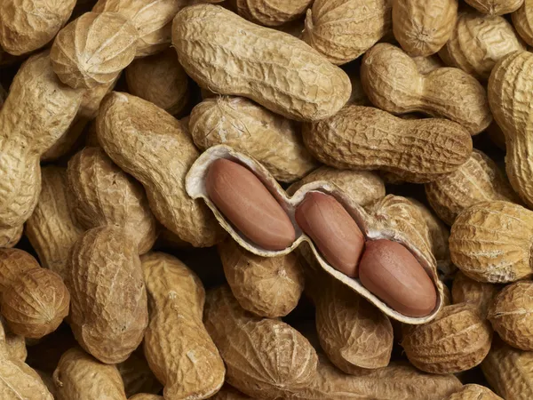 Peanuts — Stock Photo, Image