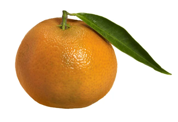 Orange frukt med blad — Stockfoto