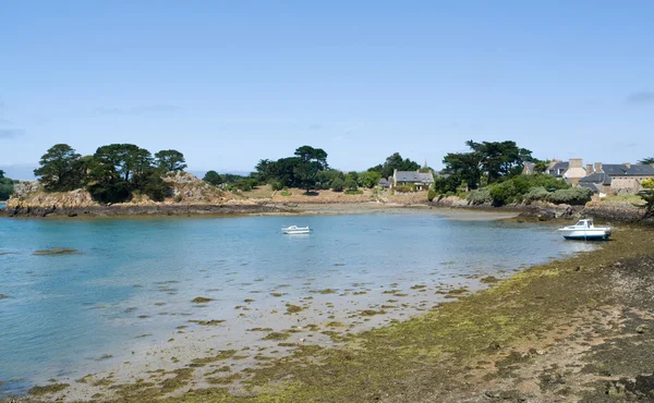 Pink Granite Coast — Stock Photo, Image