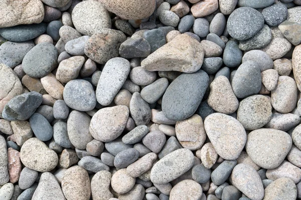 Multicolored pebbles — Stock Photo, Image