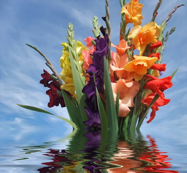 Sinking bunch of gladioli flowers — Stock Photo, Image