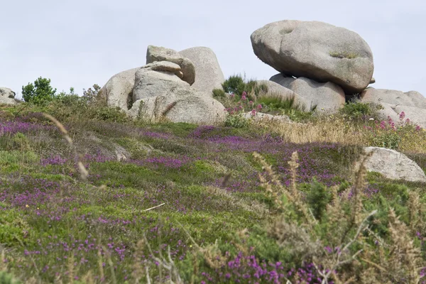 Around Perros-Guirec — Stock Photo, Image