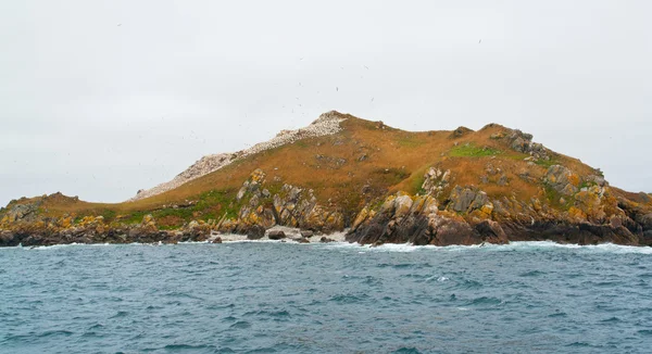 Un santuario lejano de aves en las Siete Islas — Foto de Stock