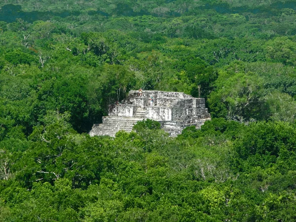 Świątynia Majów w calakmul — Zdjęcie stockowe