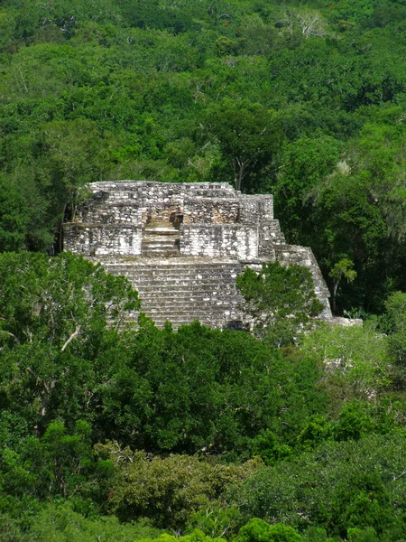 Tempel von Calakmul — Stockfoto