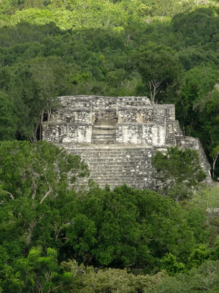 Starověký chrám na calakmul — Stock fotografie