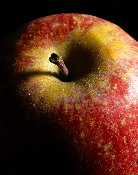 Rött äpple detalj — Stockfoto