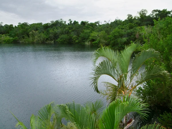 Cenote Azul — Photo