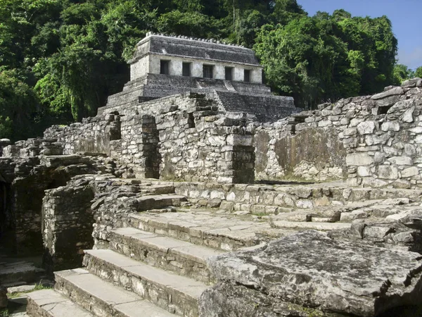 Palenque — Stok fotoğraf