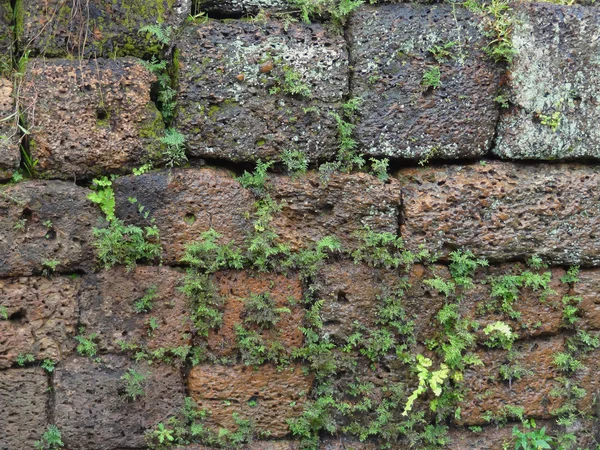 Detalhe da parede em Angkor Thom — Fotografia de Stock