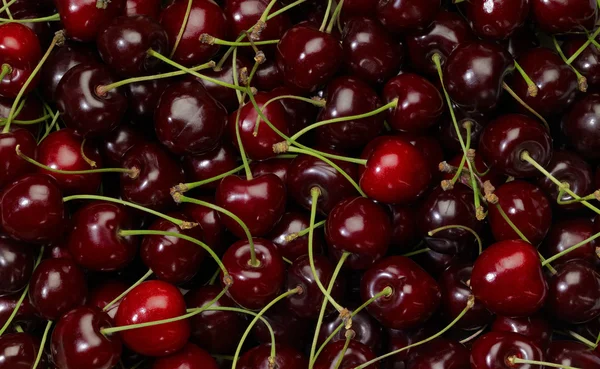 Cherry background — Stock Photo, Image