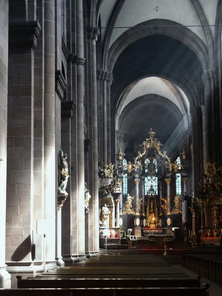 Katedra w Wormacji — Zdjęcie stockowe
