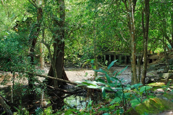 Beng Mealea — Stockfoto