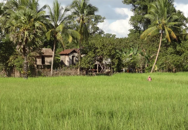 Landsbygdens landskap i thailand — Stockfoto